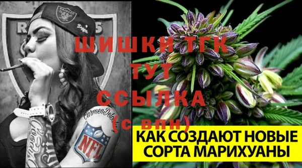 ГАЛЛЮЦИНОГЕННЫЕ ГРИБЫ Осинники