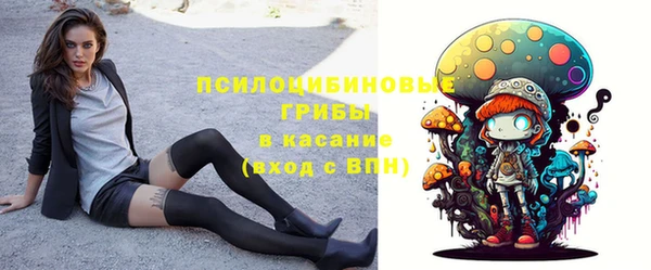 дмт Балахна