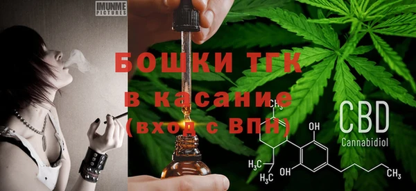 ГАЛЛЮЦИНОГЕННЫЕ ГРИБЫ Осинники